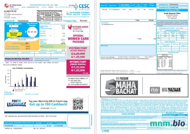 Indie CESC LIMITED rachunek za usługi komunalne słowo i PDF